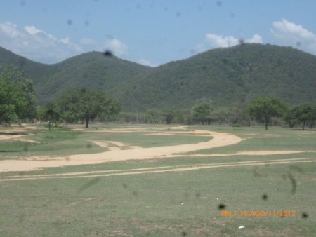 este es el campo donde las cabalgatas de caballos 