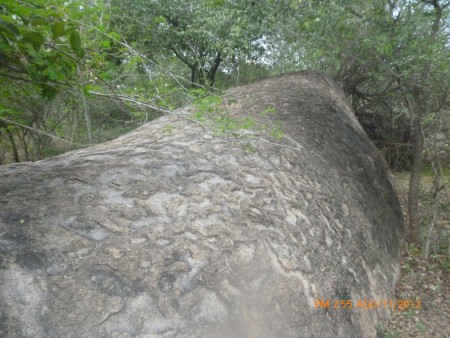 como podemos ver esta es una piedra que obtiene unas figura atractivas y llamativas a la comunidad